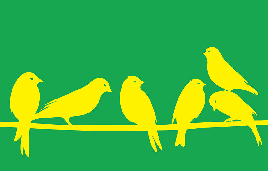 Norwich City
