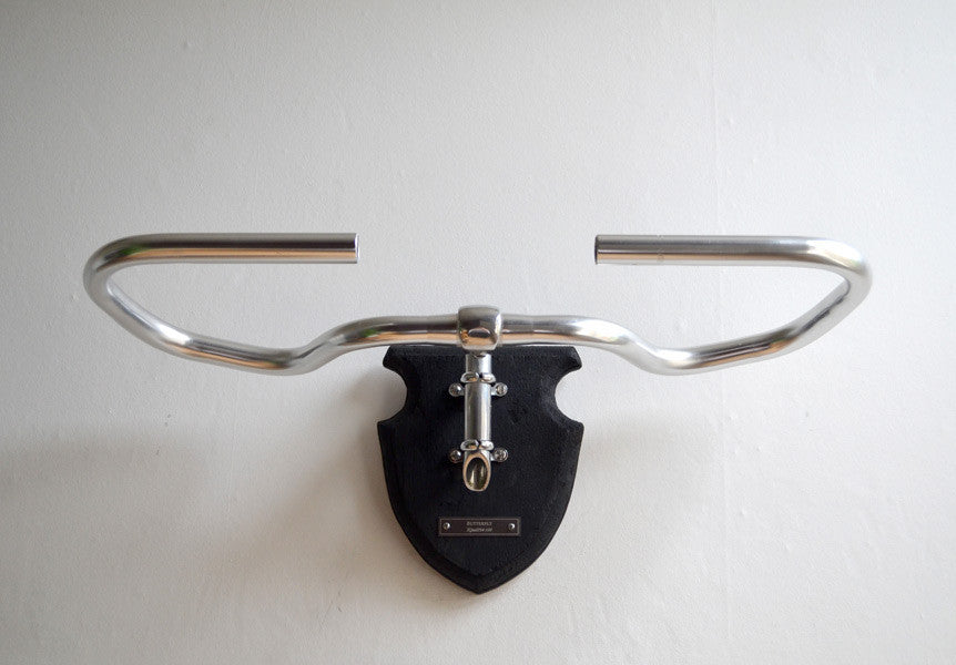 Bicycle Taxidermy (Butterfly Handlebars)