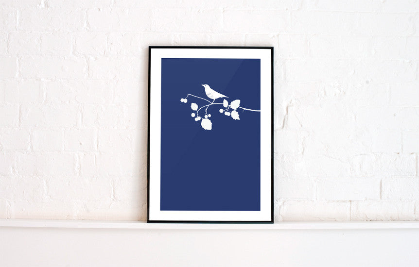 West Bromwich Albion