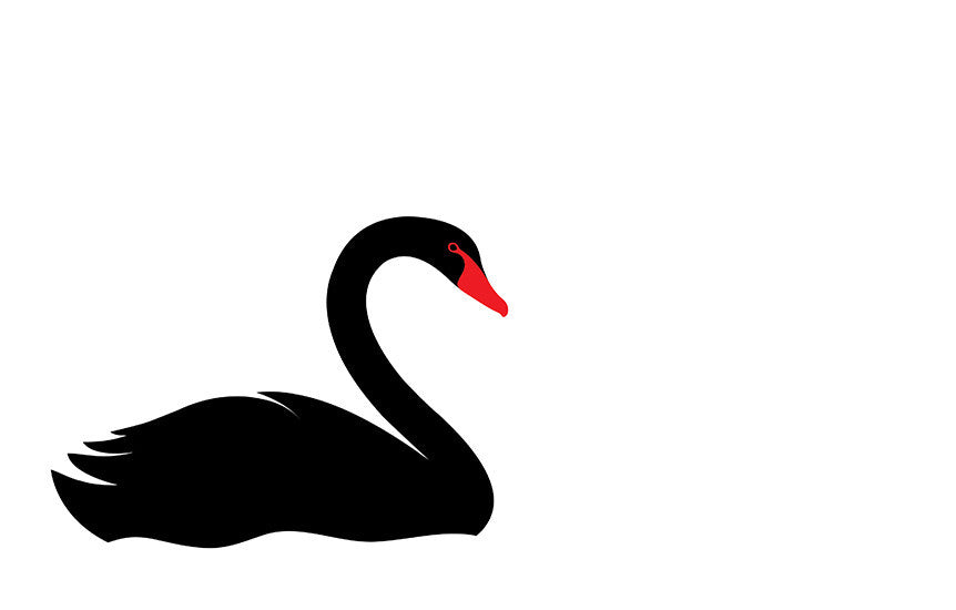 Swansea FC