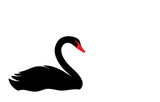 Swansea FC